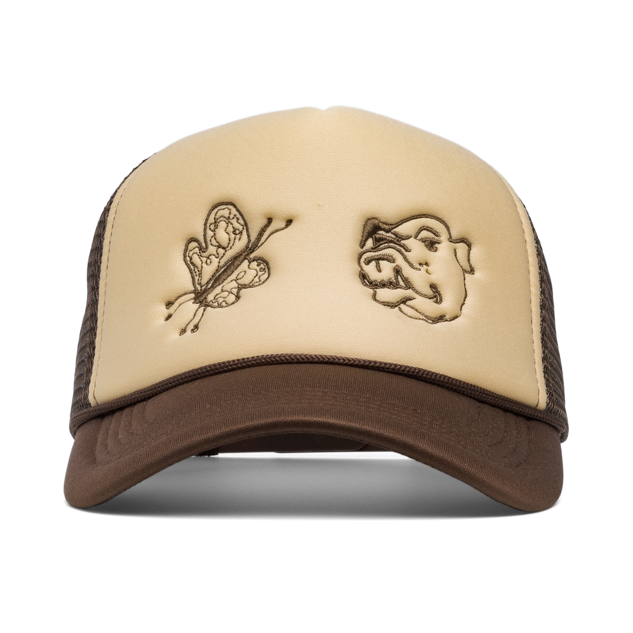 Bulldog Butterfly