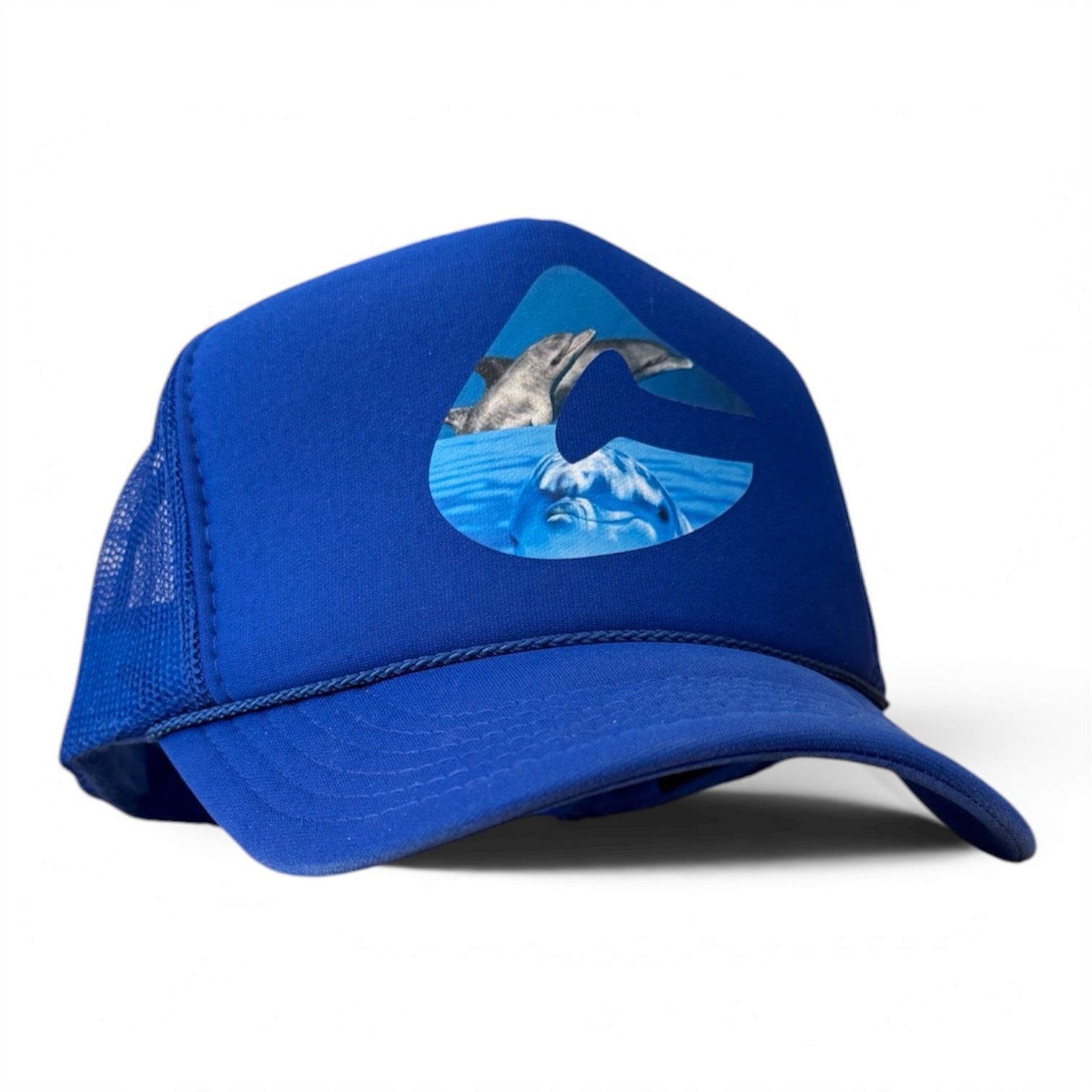 Dolphin C