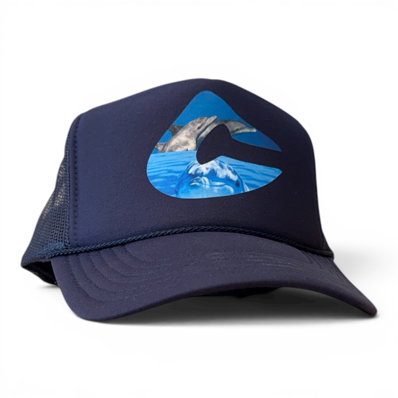 Dolphin C
