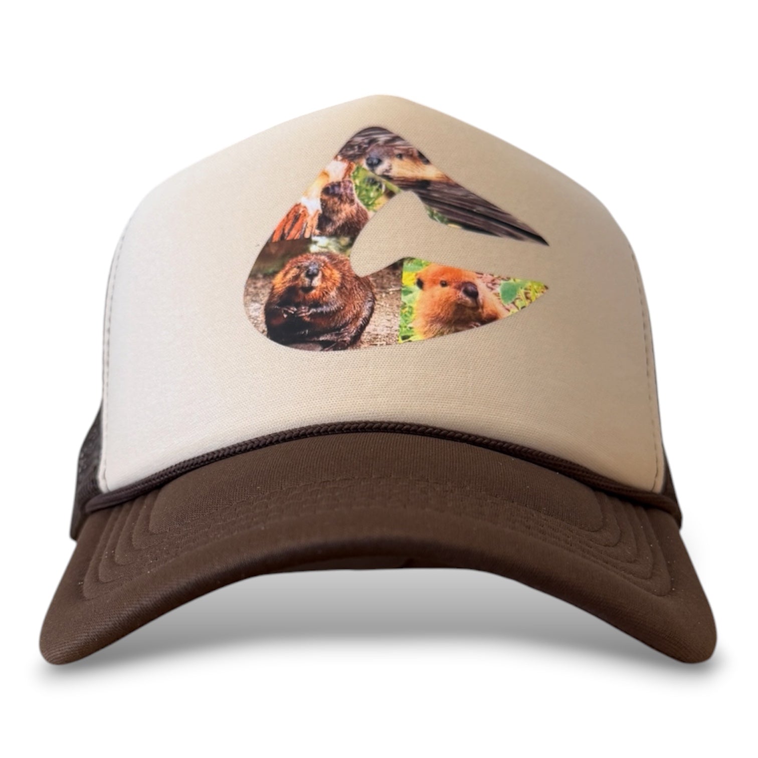 Beaver C