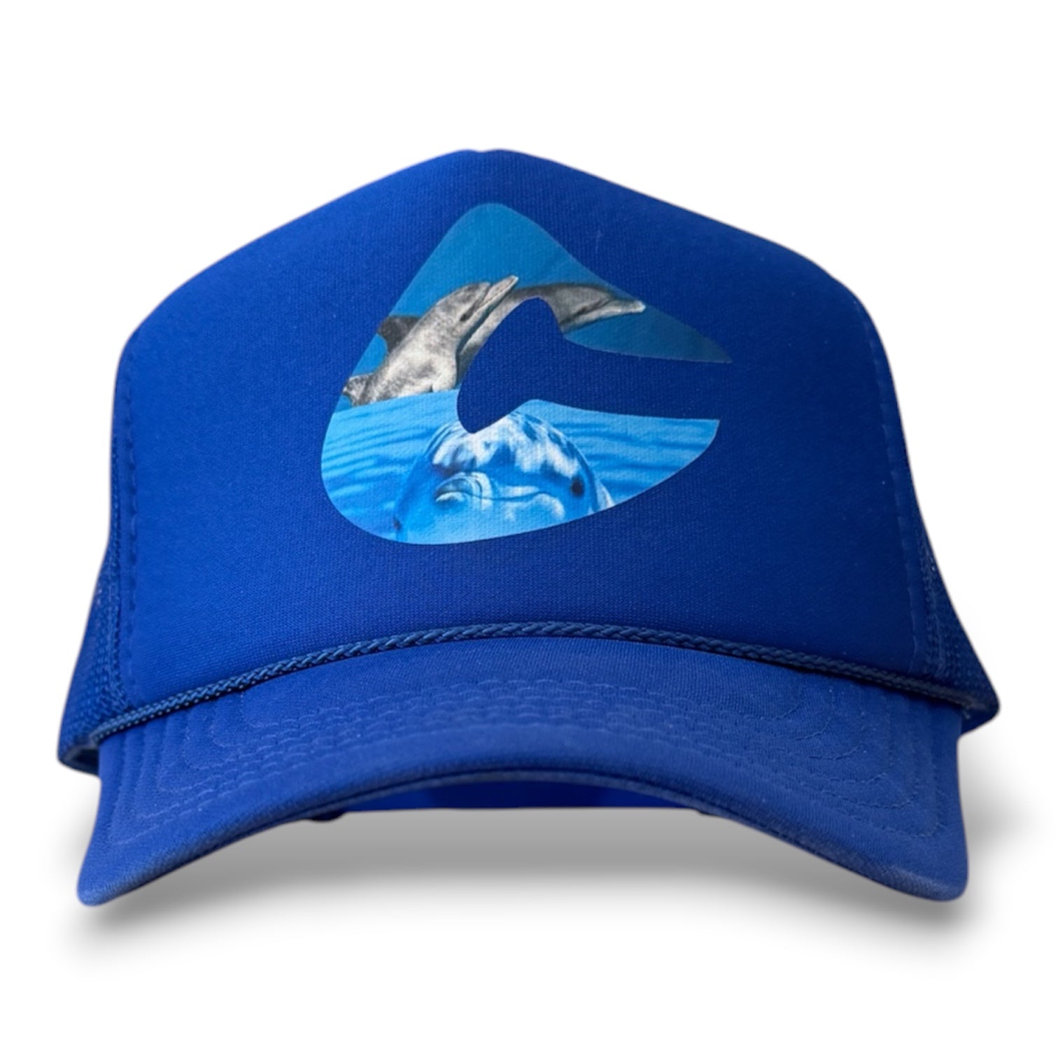 Dolphin C
