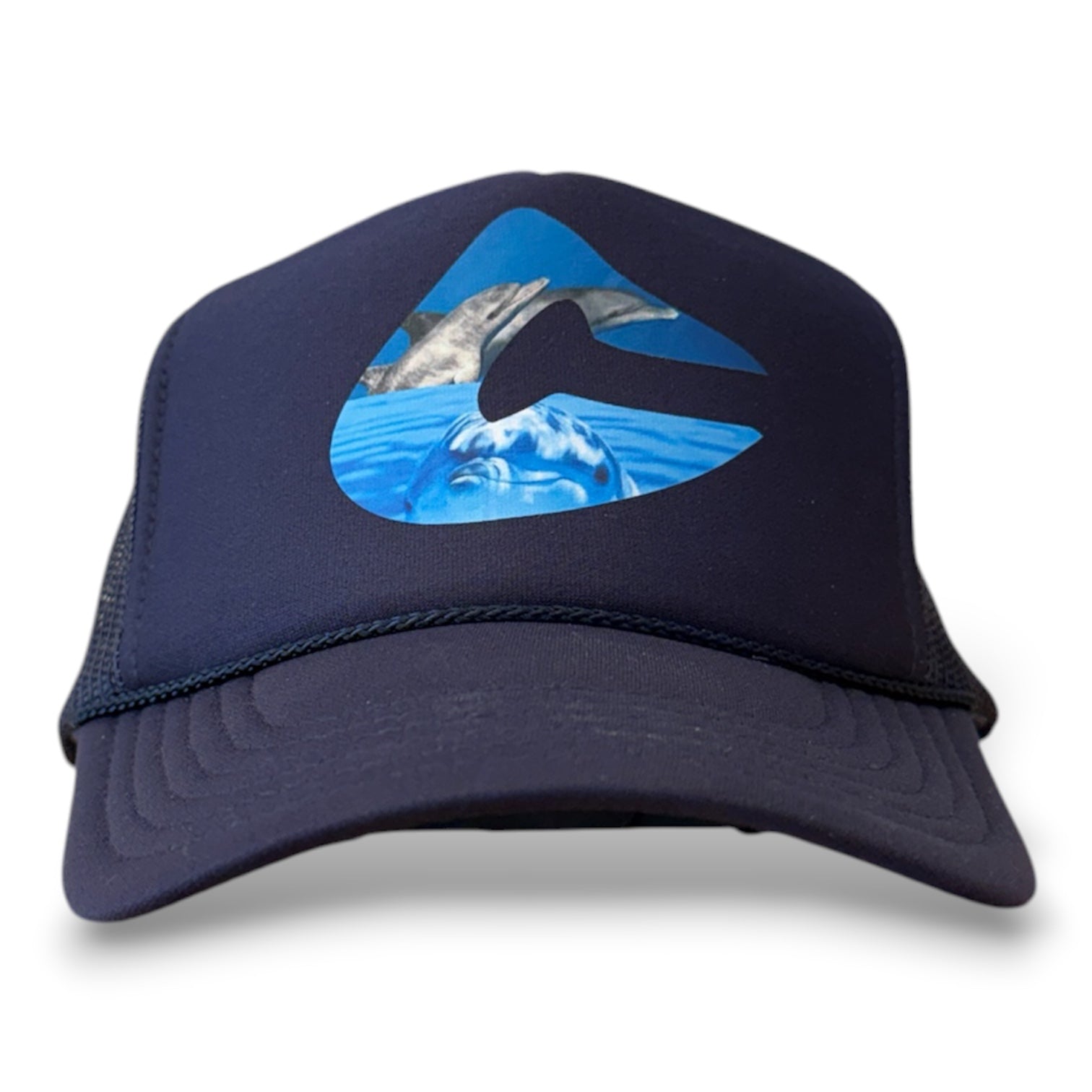 Dolphin C